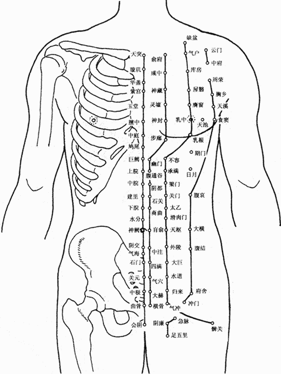 人体(tǐ)胸(xiōng)部腹部穴(xué)位图(tú) 人体(tǐ)胸部(bù)腹部穴位图